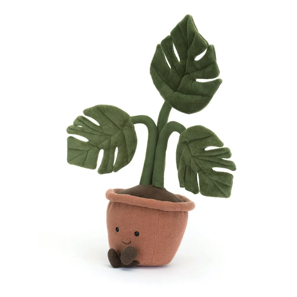 Amuseable Monstera Plant