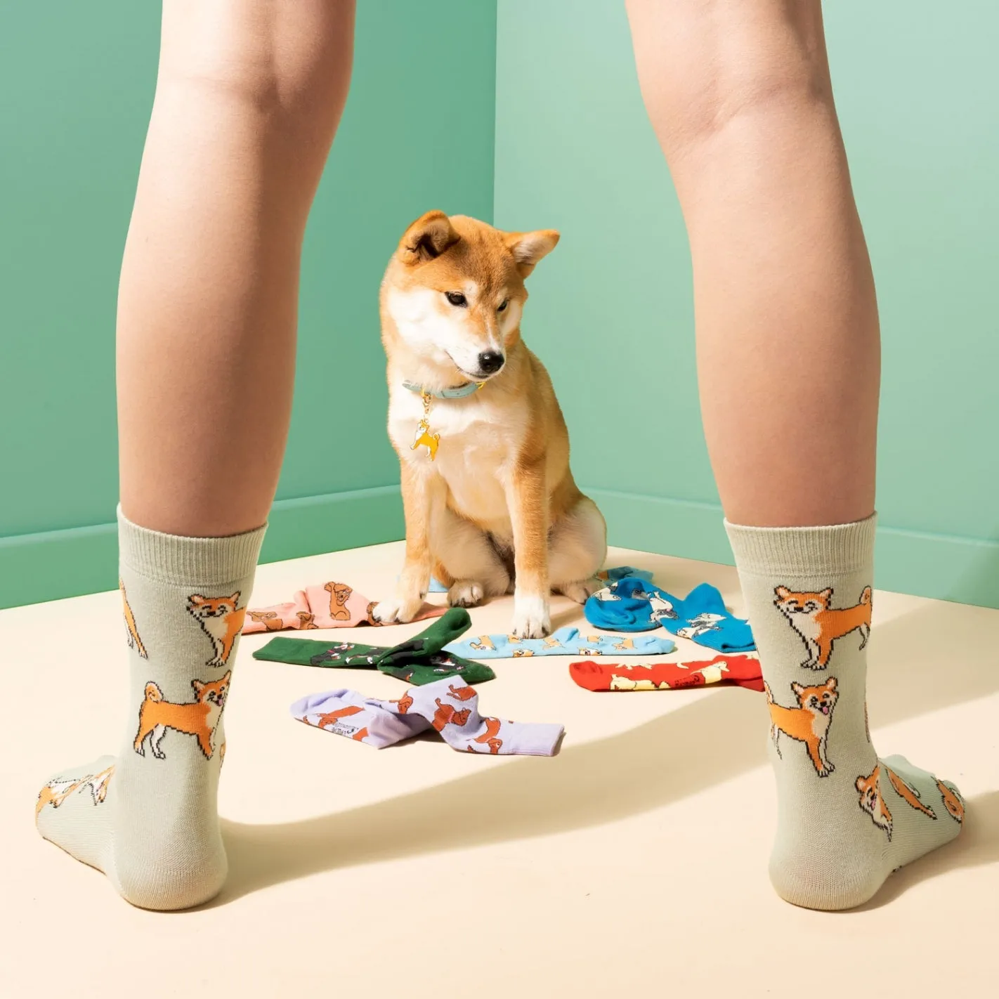 Shiba Socks